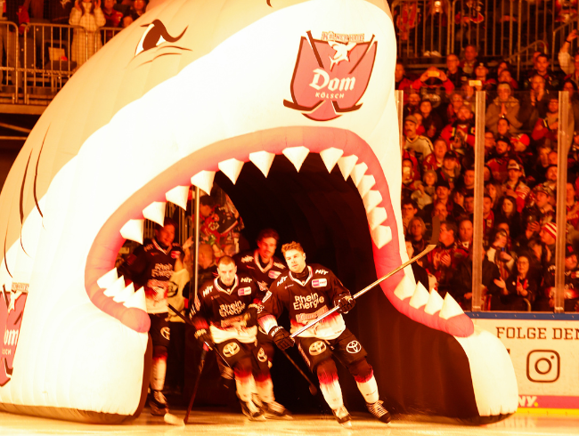 Ein Blick hinter die Kulissen der Kölner Haie – mit Logenblick aufs Top-Spiel gegen Eisbären Berlin